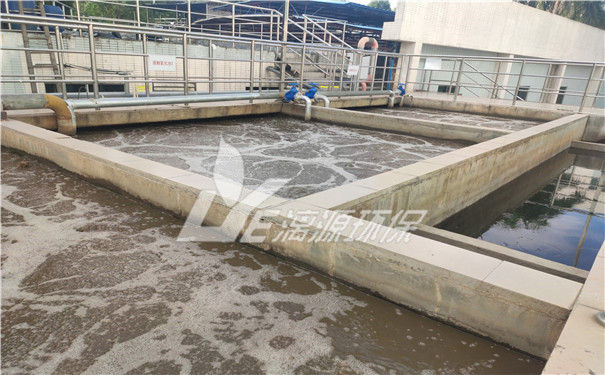 乳酸薄荷酯废水处理方法 乳酸薄荷酯废水处理方法