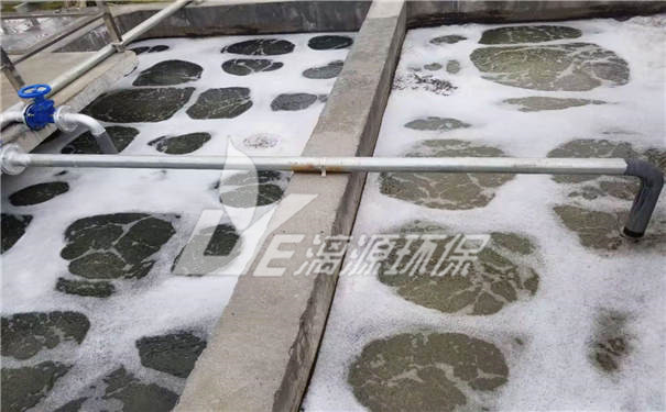 己内酰胺废水处理工艺