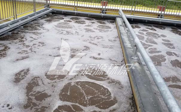 高氮废水处理EGSB工艺 高氮废水处理EGSB工艺