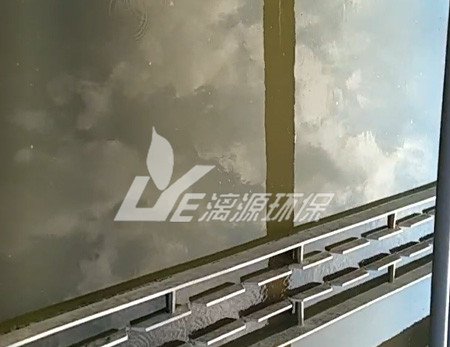 酯化废水处理现状